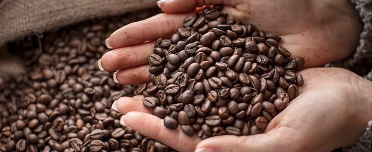 Kahve Çekirdeği Çeşitleri Arabica, Robusta, Liberica Nedir ?